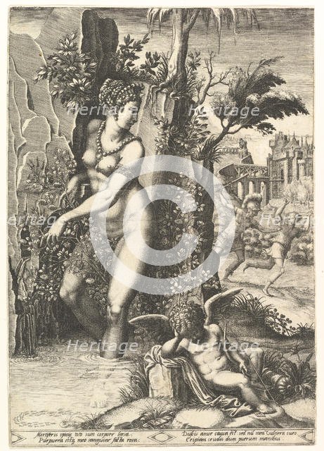 Venus pricked by the thorns on a rose bush, in the background Mars chasing Adonis, in the ..., 1556. Creator: Giorgio Ghisi.