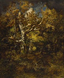 Forest of Fontainebleau, Autumn, 1871. Creator: Narcisse Virgile Diaz de la Pena.