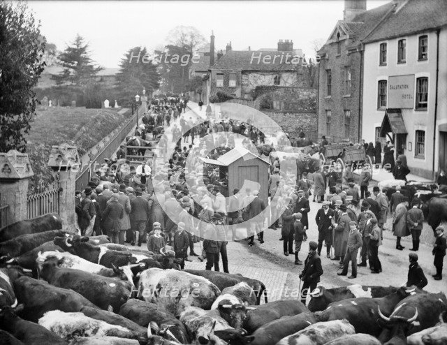 Cattle market, Faringdon, Oxfordshire, 1904. Artist: Henry Taunt.