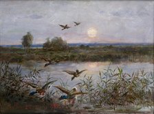 Ducks over Marshes, 1923. Creator: Alexandre Mroczkowski.