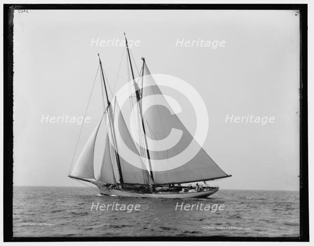 Gitana, between 1882 and 1899. Creator: Unknown.