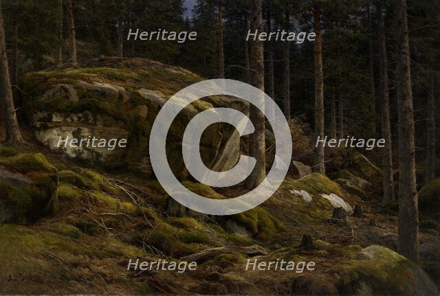 Woods Landscape, 1903-1904. Creator: Berndt Lindholm.
