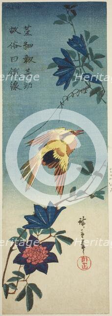 (Facsimile?) Black-naped oriole and clematis, 1840s. Creator: Ando Hiroshige.