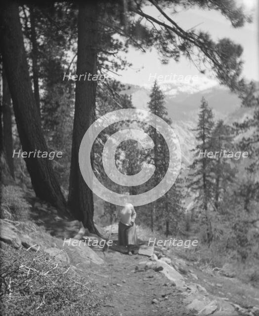 Travel views of Yosemite National Park, between 1903 and 1906. Creator: Arnold Genthe.