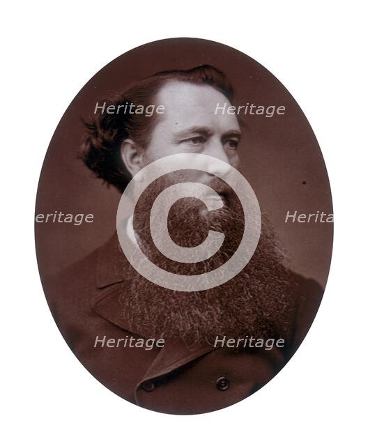 Vicat Cole, landscape painter, 1881. Creator: Lock & Whitfield.