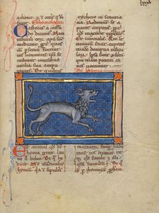 A Hyena; Bestiary, about 1270. Creator: Unknown.