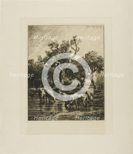 Cows at a Watering Place, 1878. Creator: Charles Emile Jacque.