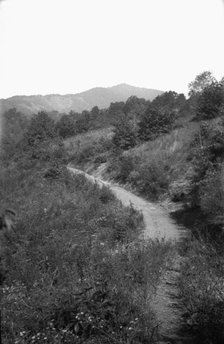 Country path, Appalachia, USA, c1917. Artist: Cecil Sharp