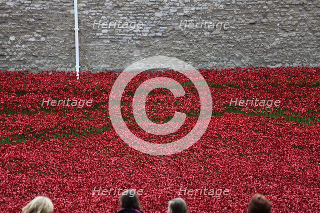 'Blood Swept Lands and Seas of Red', Tower of London, 2014.  Artist: Sheldon Marshall