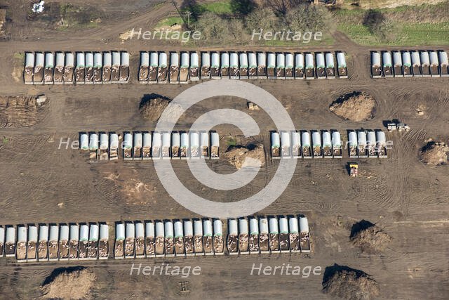 A piggery, West Sussex, 2018. Creator: Damian Grady.