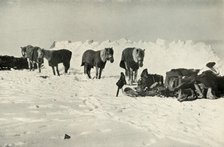 'Ponies Behind Their Shelter in Camp on the Barrier', 1911, (1913). Artist: Robert Falcon Scott.