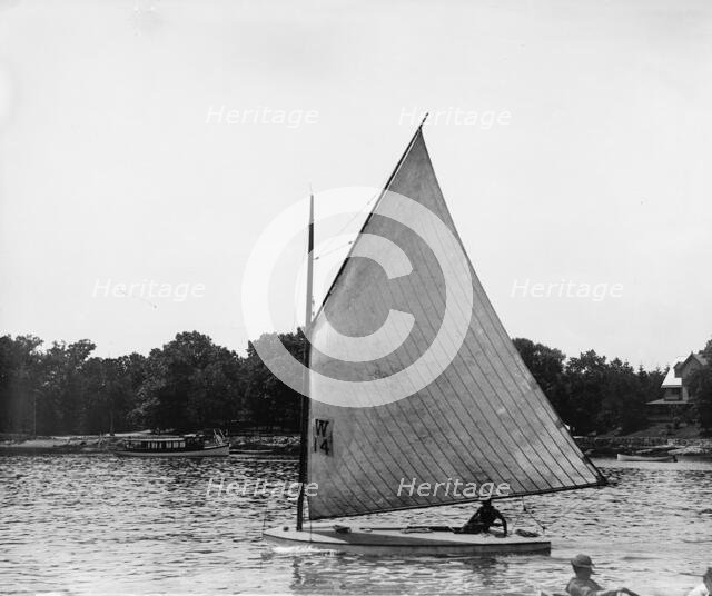 Lobster, 1899 July 4. Creator: John S Johnston.