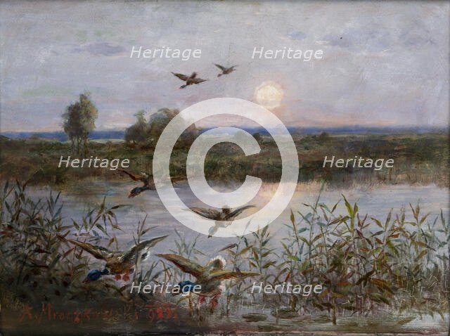 Ducks over Marshes, 1923. Creator: Alexandre Mroczkowski.