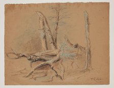 Trunks of Trees and Foliage, between 1820 and 1848. Creator: Thomas Cole.