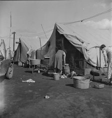 Orange pickers' camp, Tulare County, California, 1938. Creator: Dorothea Lange.