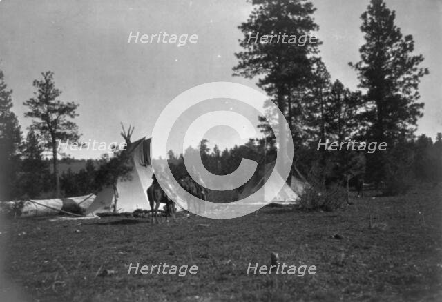 Camp of the Root Diggers-Yakima, 1909, c1910. Creator: Edward Sheriff Curtis.