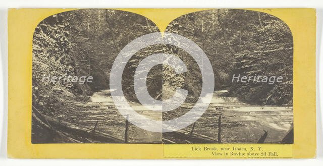 Lick Brook, near Ithaca, N.Y. View in Ravine above 2d Fall, 1860/65. Creator: J. C. Burritt.