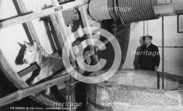 The donkey in the wheel, Carisbrooke Castle, near Newport, Isle of Wight, 20th century. Artist: Unknown