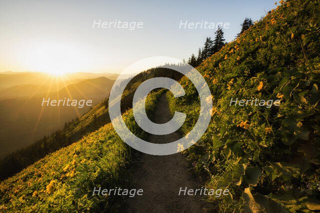 An Evening Walk. Creator: Joshua Johnston.