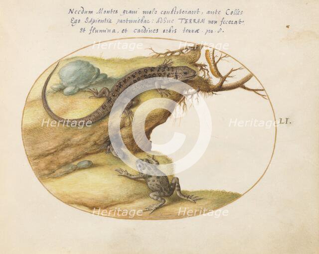 Animalia Qvadrvpedia et Reptilia (Terra): Plate LI, c. 1575/1580. Creator: Joris Hoefnagel.