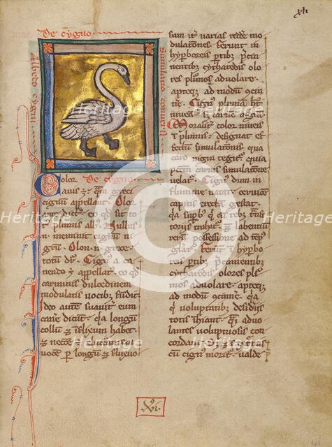 A Swan; Bestiary, about 1270. Creator: Unknown.