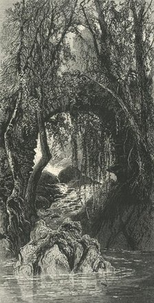 'The Torrent Walk, Dolgelly', c1870.