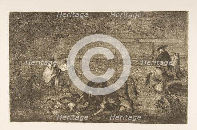Plate C: The dogs let loose on the bull., ca. 1816. Creator: Francisco Goya.