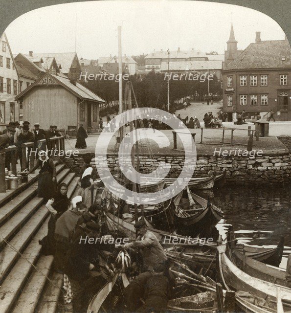 'Buying fish in a busy Arctic trading port, Tromsoe (69° 38' N. Lat.), Northern Norway', 1902. Creator: Unknown.