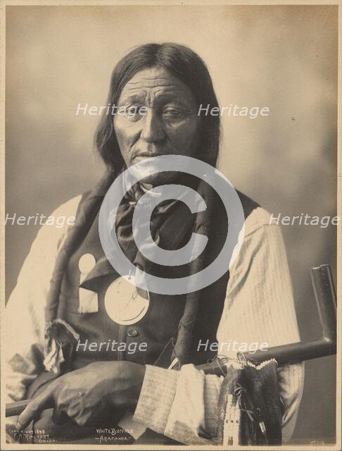 White Buffalo, of the Arapaho People, 1898. Creators: Adolph F. Muhr, Frank A. Rinehart.