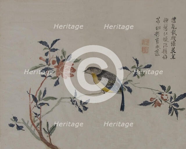 Bird on a Flowering Branch, 19th century. Creator: Unknown.
