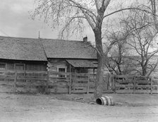 Type home, Escalante, Utah, 1936. Creator: Dorothea Lange.