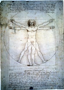 The proportion of the human figure', by Leonardo da Vinci.