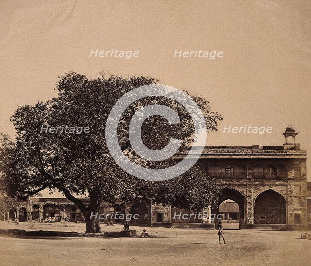 India: a tree in the grounds of a palace under which three hundred Europeans were murdered, c1858. Creator: Felice Beato.