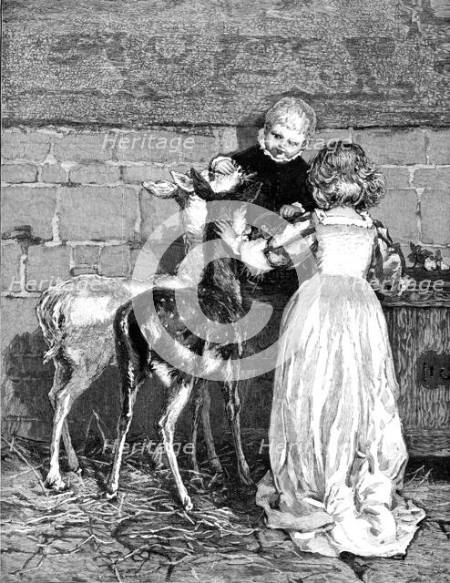 Pets of the House: A Christmas Feast, drawn by Percy Tarrant, 1883. Creator: Unknown.