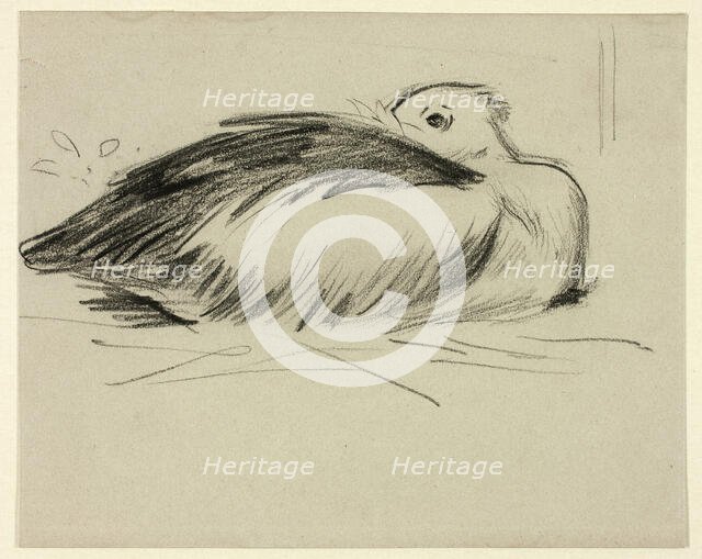 Sketch of Nesting Stork, n.d. Creator: Henry Stacy Marks.