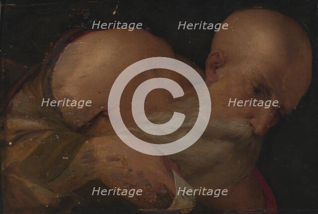 Portrait of a Man, 16th century. Creator: Benvenuto Tisi da Garofalo.