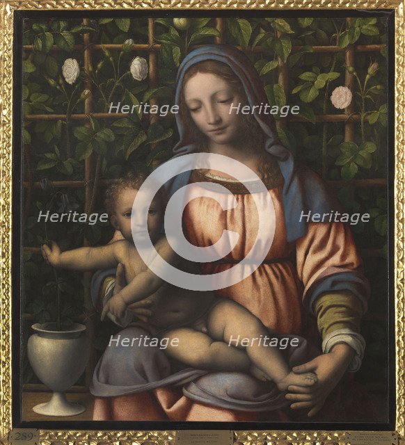 The Madonna of the Rose Garden (Madonna del Roseto).