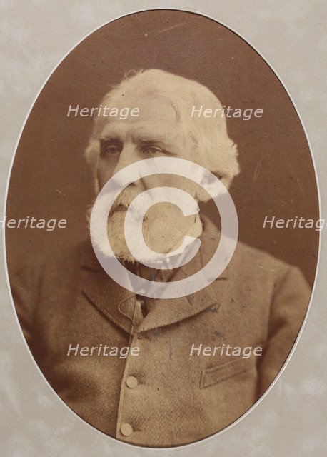 Portrait of the author Ivan Sergeyevich Turgenev (1818-1883), 1879.