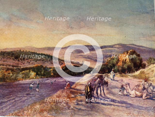 'Site of the Ancient City of Samaria', 1902. Creator: John Fulleylove.