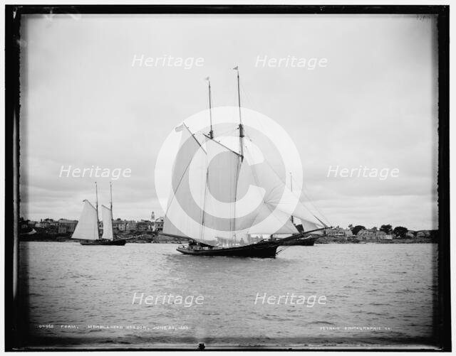 Foam, Marblehead harbor, 1888 June 28. Creator: Unknown.