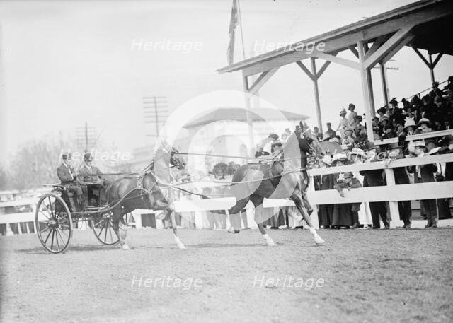 Horse Shows - John Roll Mclean Entries, 1911. Creator: Harris & Ewing.
