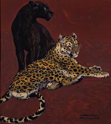 Jaguar and Black Panther. Creator: Warwick Reynolds