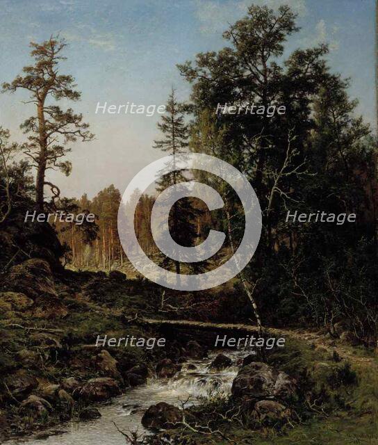 A Forest Landscape from Hauho, 1884. Creator: Hjalmar Munsterhjelm.