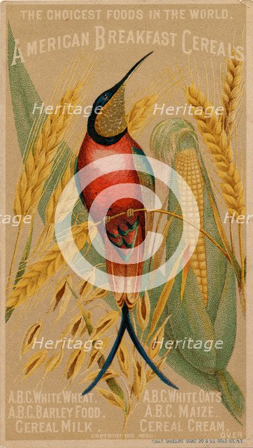 American Breakfast Cereals, 19th century. Artist: Unknown
