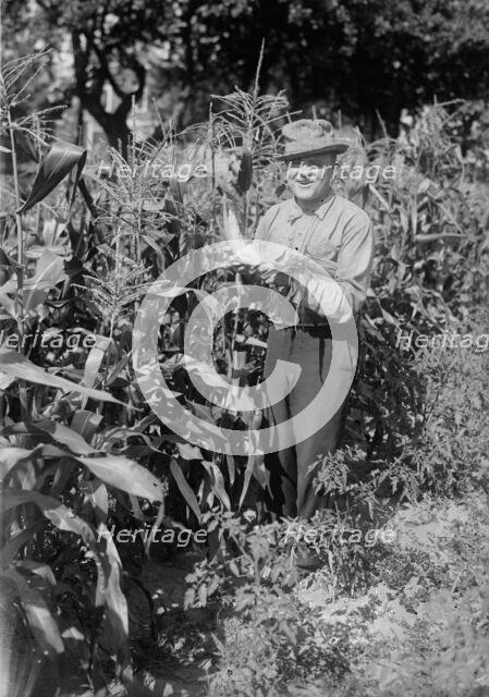 Billy Murray, between c1915 and c1920. Creator: Bain News Service.