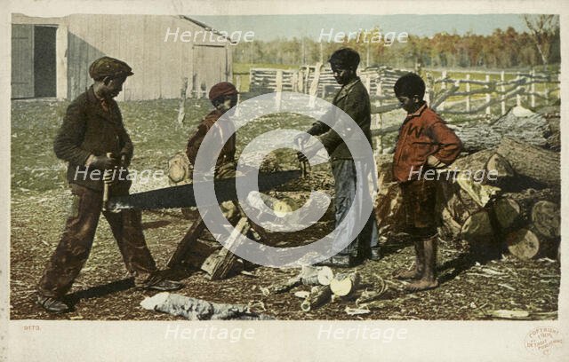 Nigger in the Woodpile, ca.1898 - 1931. Creator: Detroit Publishing Company.