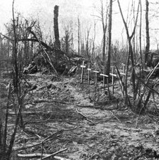 ''Tombes de soldats dans le bois d'Avocourt', 1916. Creator: Unknown.