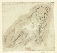 Five Sketches of Lions: Standing Cub, n.d. Creator: Henry Stacy Marks.