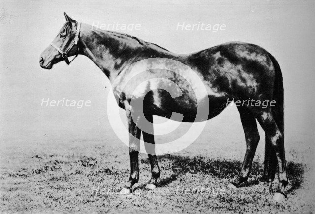 'La Fleche', 1889-1911, (1911). Artist: Unknown.