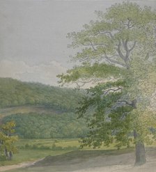 Wooded landscape, 1790s-1820s. Creator: John White Abbott.